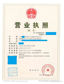上海注冊非中介留學服務公司 類別、經(jīng)營范圍與票務代理指南